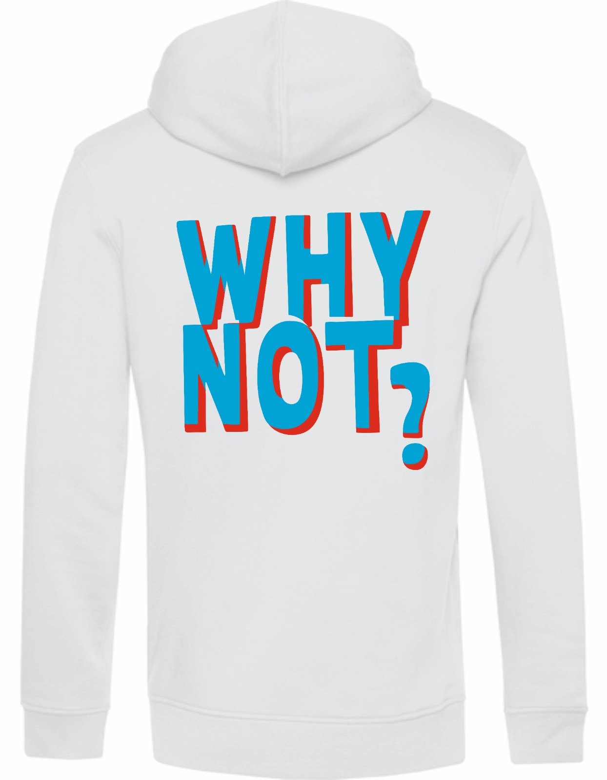 WHY NOT? ♡ - Organic Hoodie (weiß, hellblau) Bild