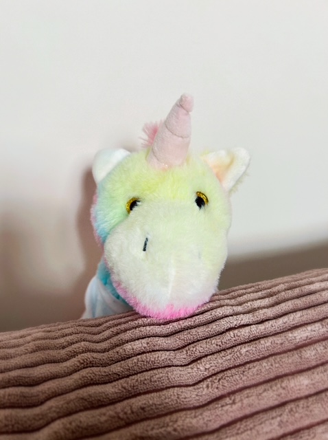 ONE LOVE, ONE DREAM, ONE TEAM - Zuckersüßes Einhorn zum Kuscheln Bild