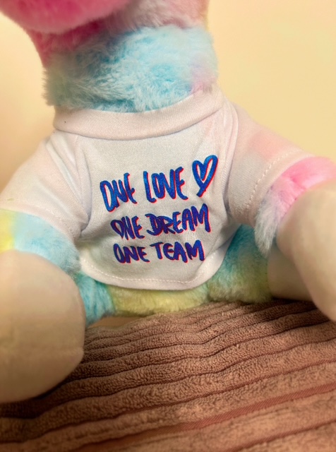 ONE LOVE, ONE DREAM, ONE TEAM - Zuckersüßes Einhorn zum Kuscheln Bild