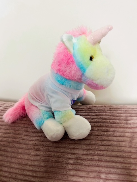 ONE LOVE, ONE DREAM, ONE TEAM - Zuckersüßes Einhorn zum Kuscheln Bild